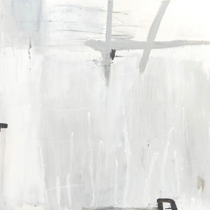 CB225 CONCRETE & GALVANIZED WIRE STUDY #2