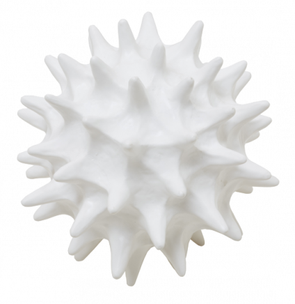 OL Copernicus Orb - Large