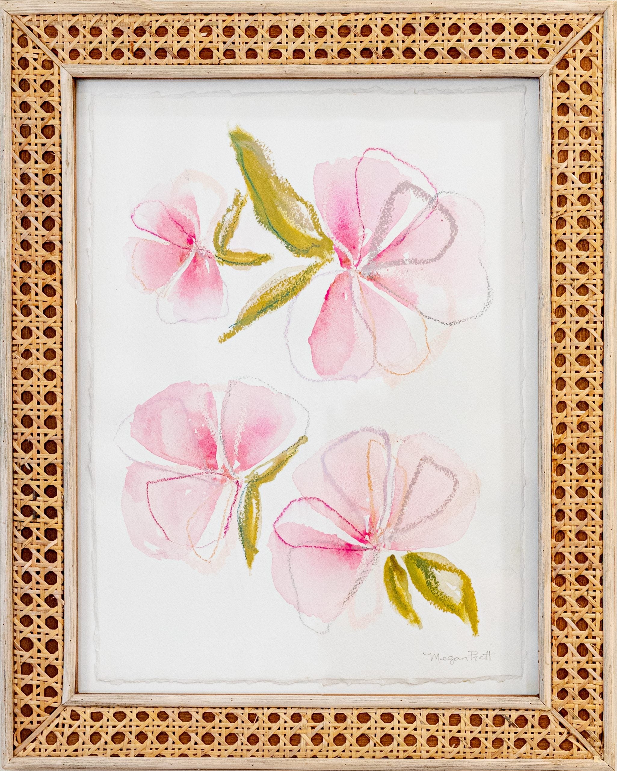 MP23 AMARANTH WILDFLOWERS