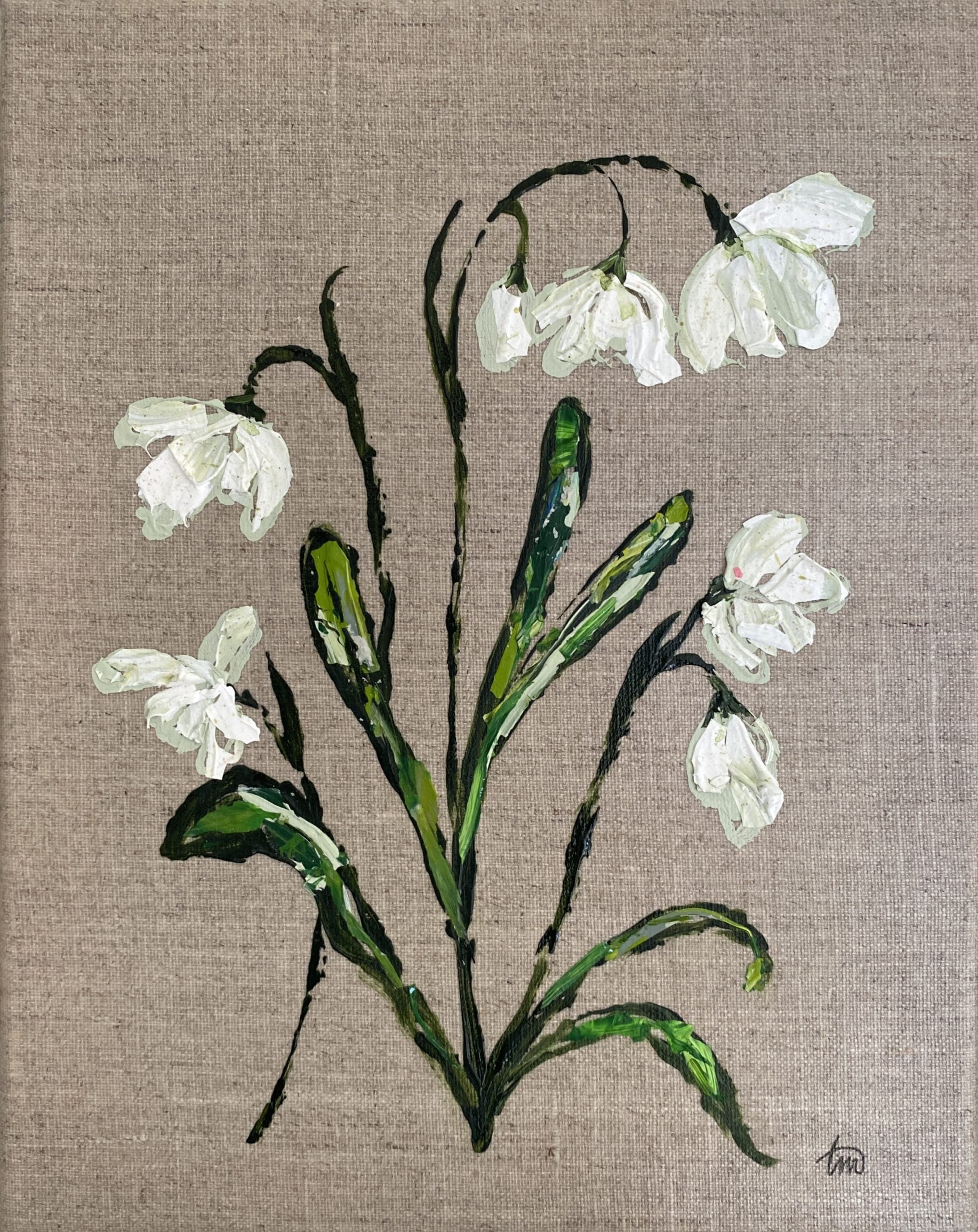 TM25 Blooming Girls Snow Drop - Small