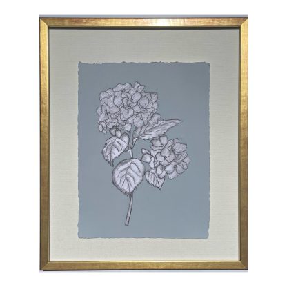 JG325 CALLUNA HYDRANGEA