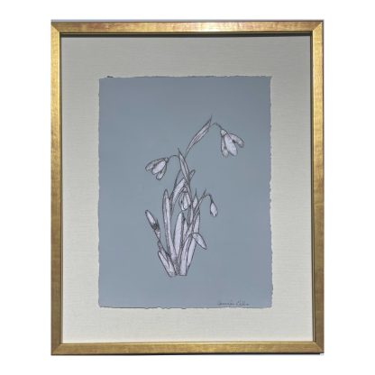 JG325 CALLUNA SNOWDROP