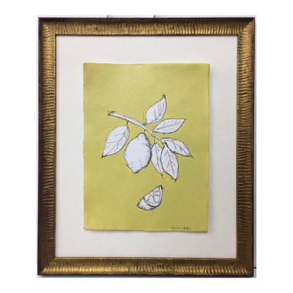 JG325 CITRONA LEMON NO. 1