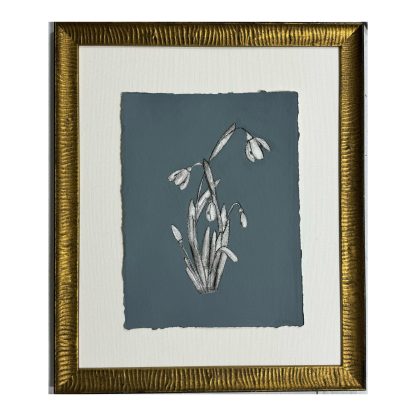 JG325 DENIMES SNOWDROP