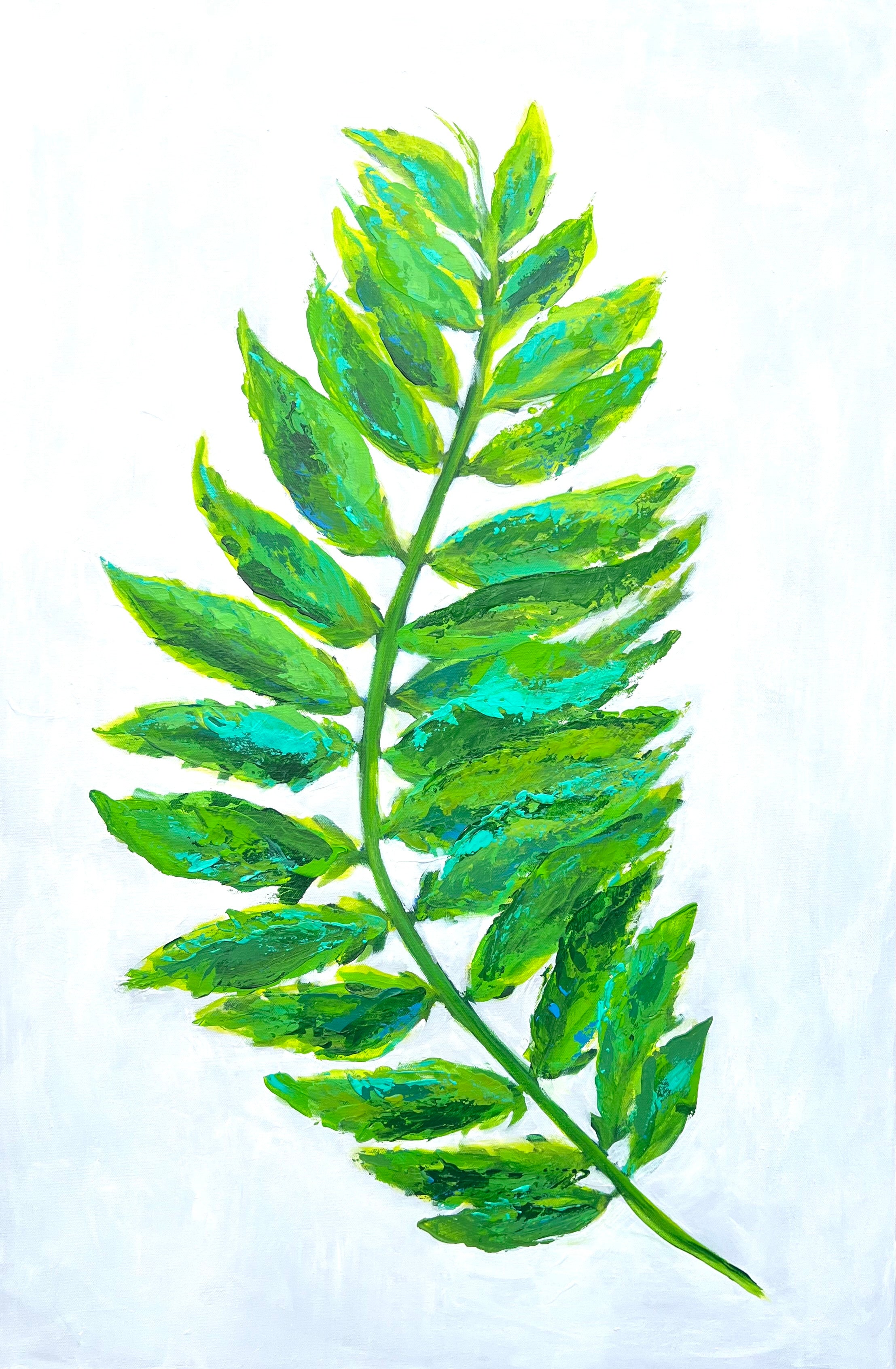 MKW25 (39) FERN