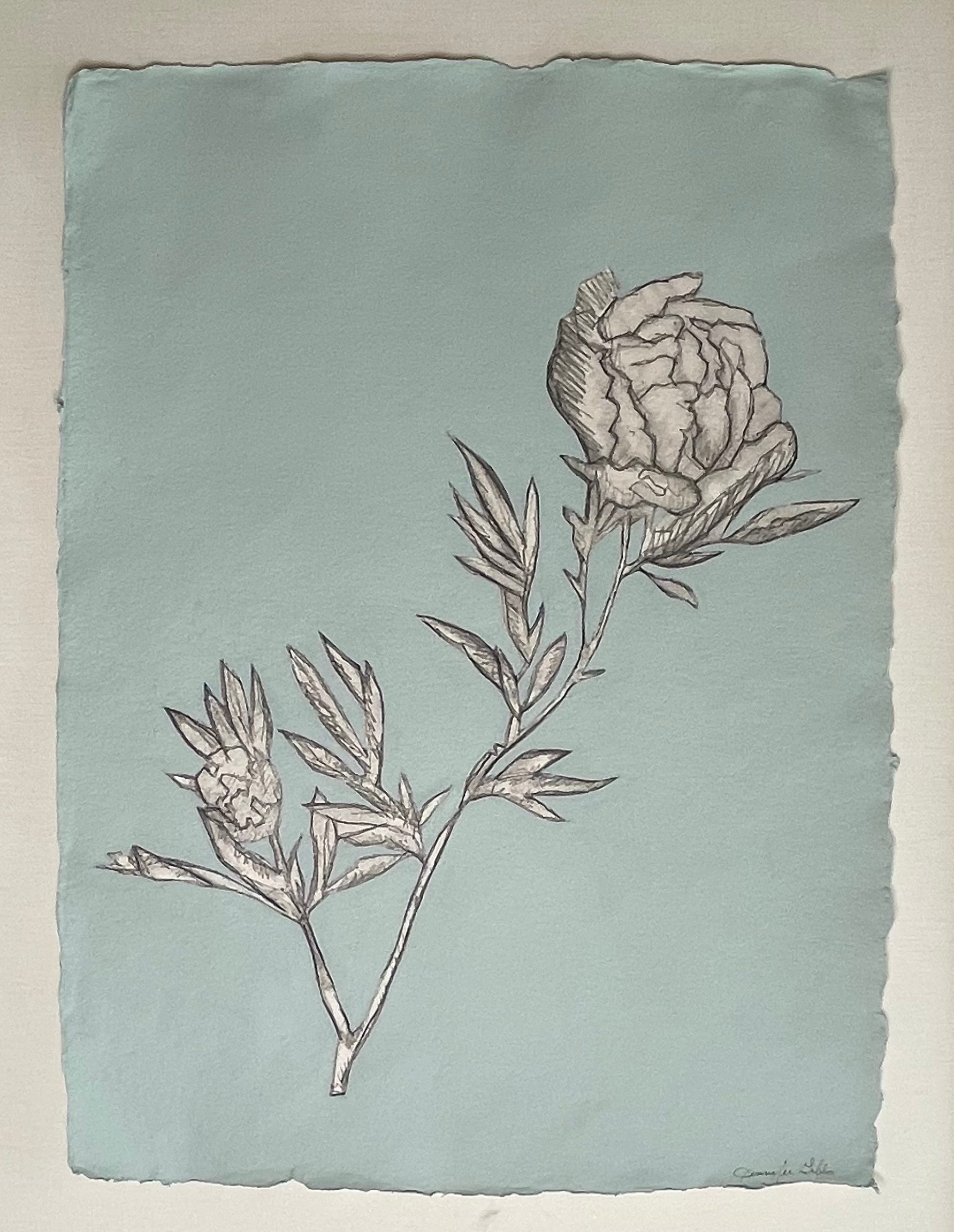 JG24 TERESA'S GREEN PEONY NO. 2