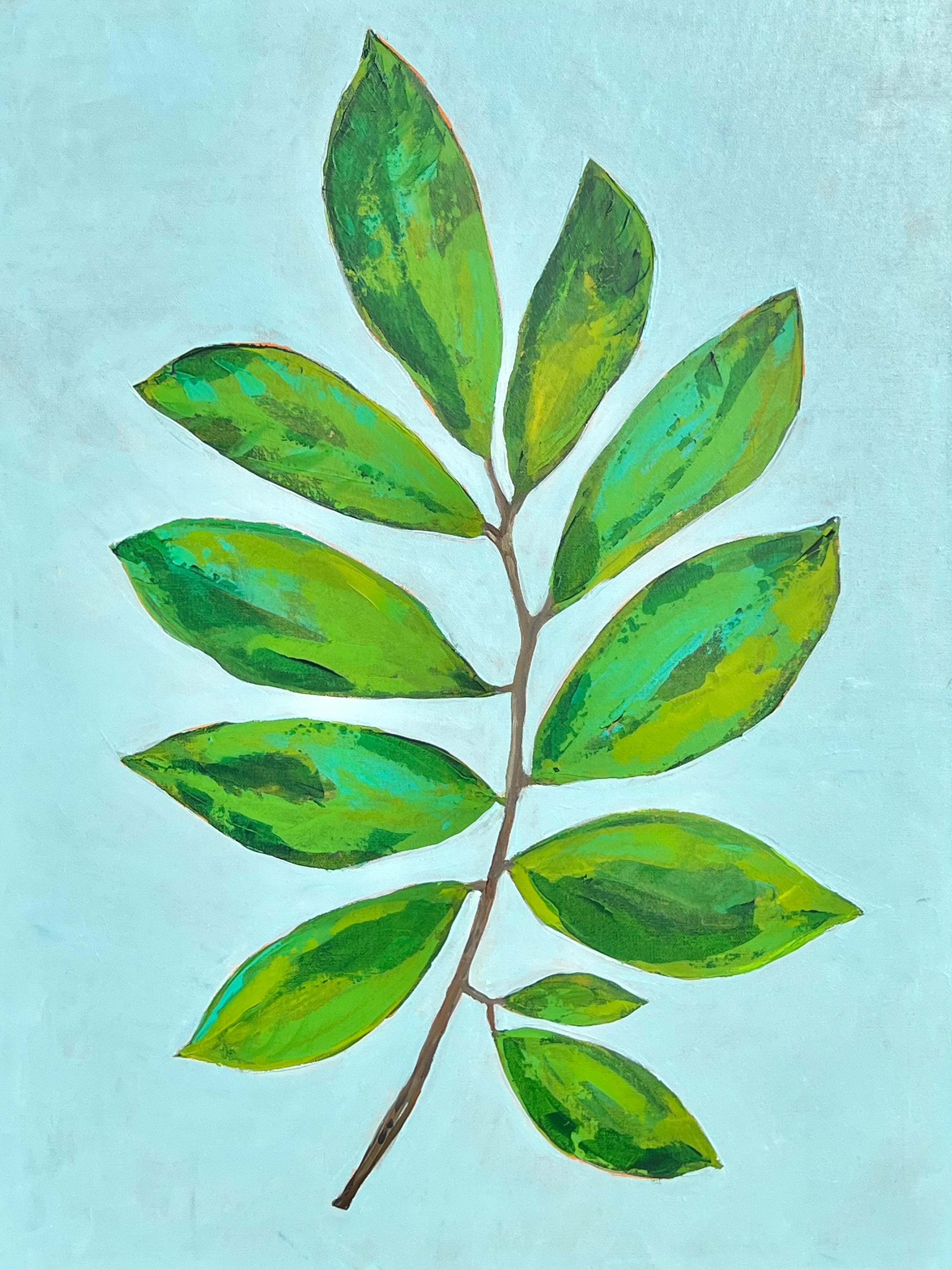 MKW25 (13) PAW PAW BRANCH ON AQUA 1