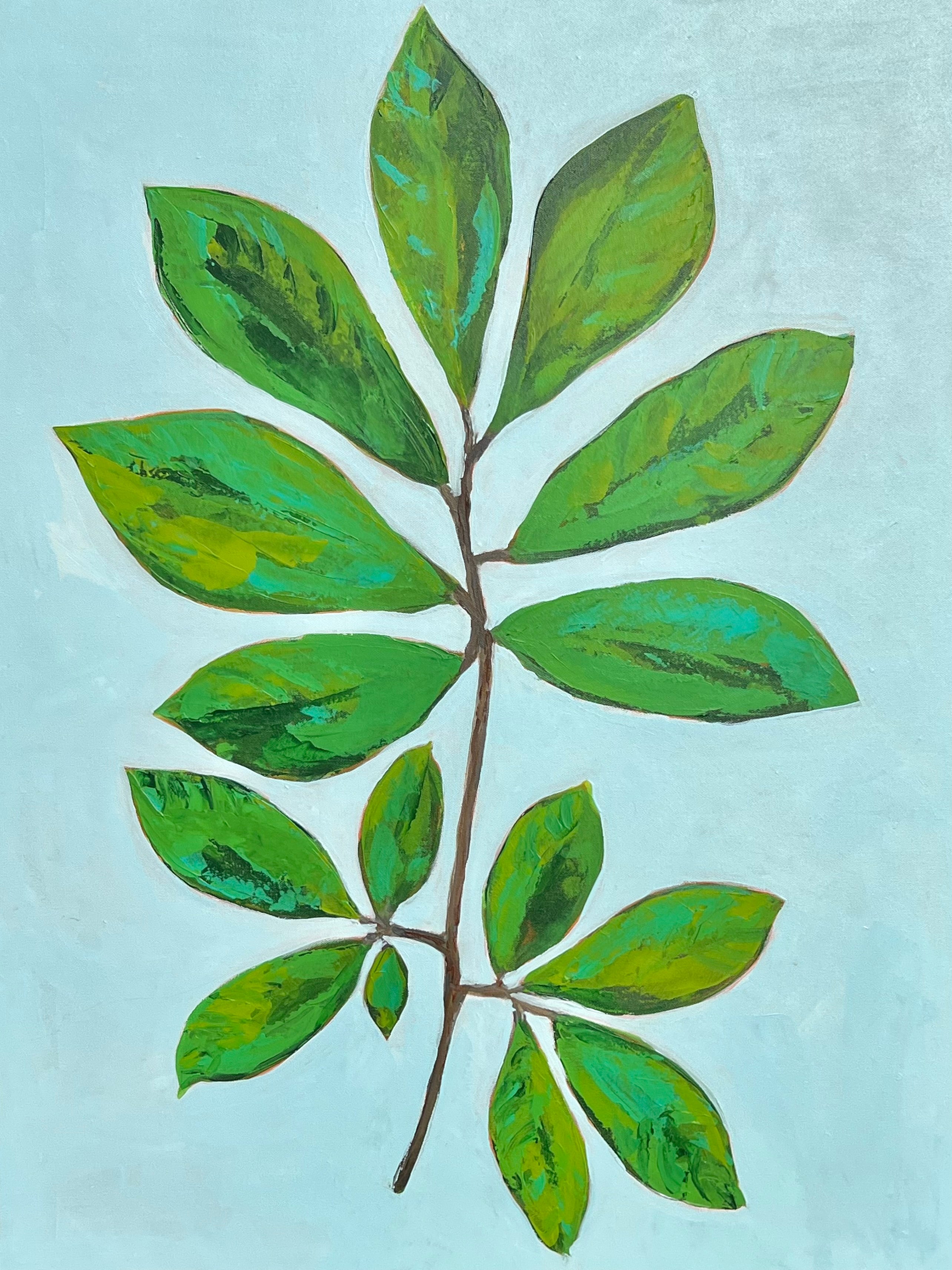 MKW25 (14) PAW PAW BRANCH ON AQUA 2