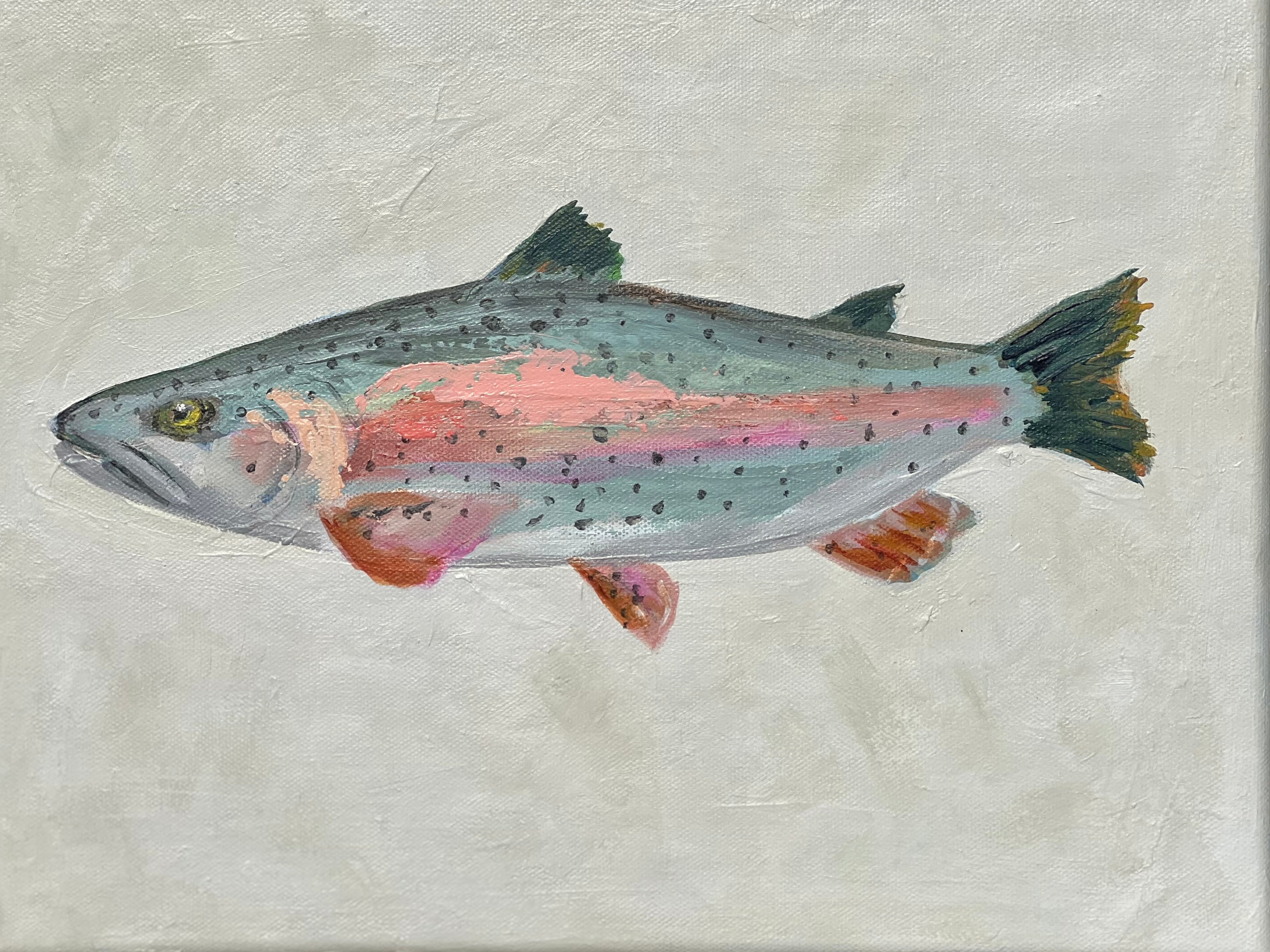 MKW25 (32) CORAL RAINBOW