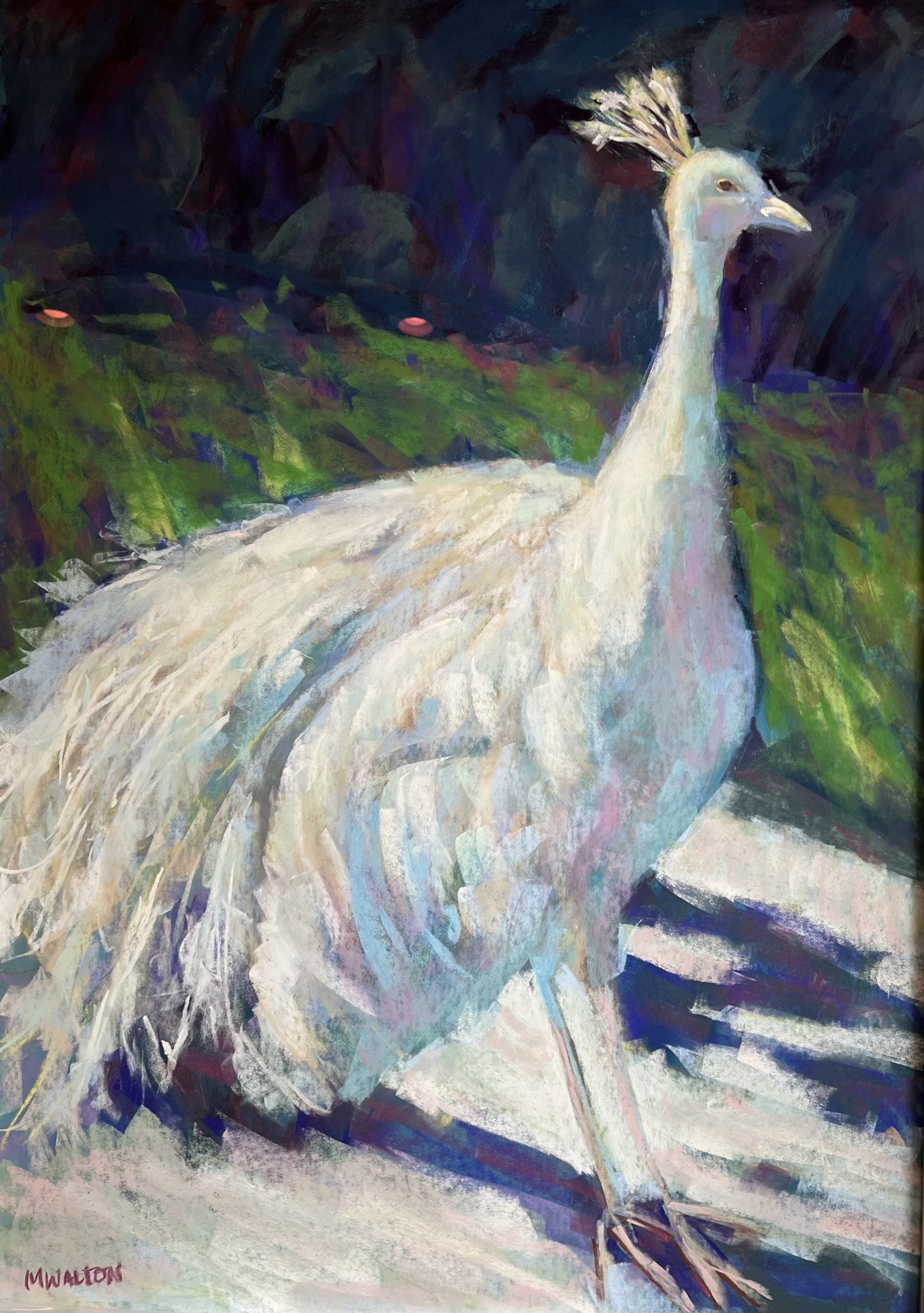 MW237 PRETTY LADY II