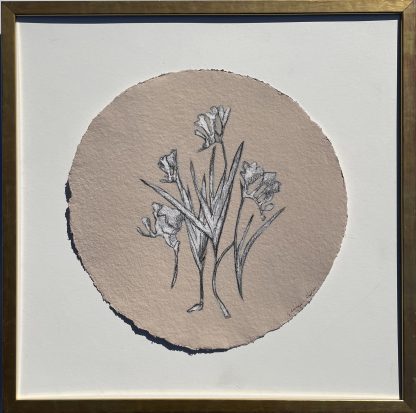 JG325 SHRIMP FREESIA