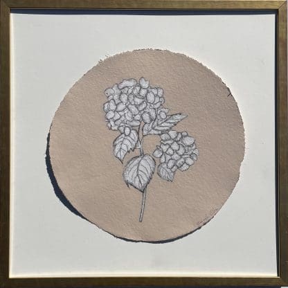 JG325 SHRIMP HYDRANGEA