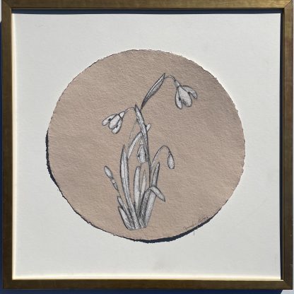 JG325 SHRIMP SNOWDROP