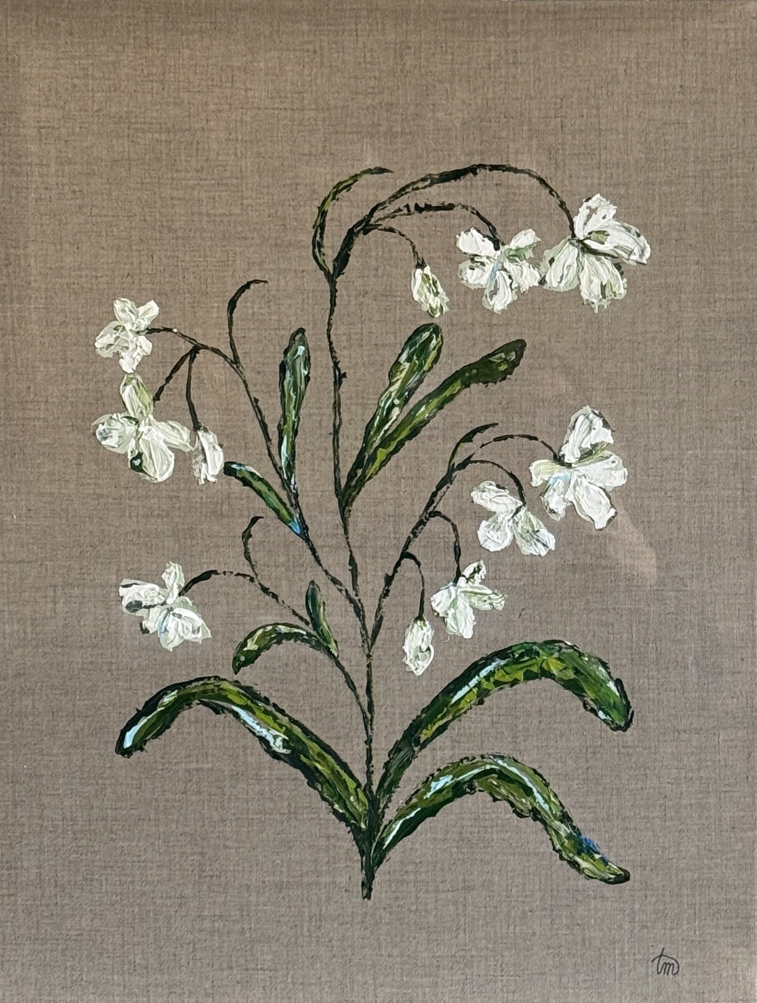 TM25 Blooming Girls Snow Drop - Large