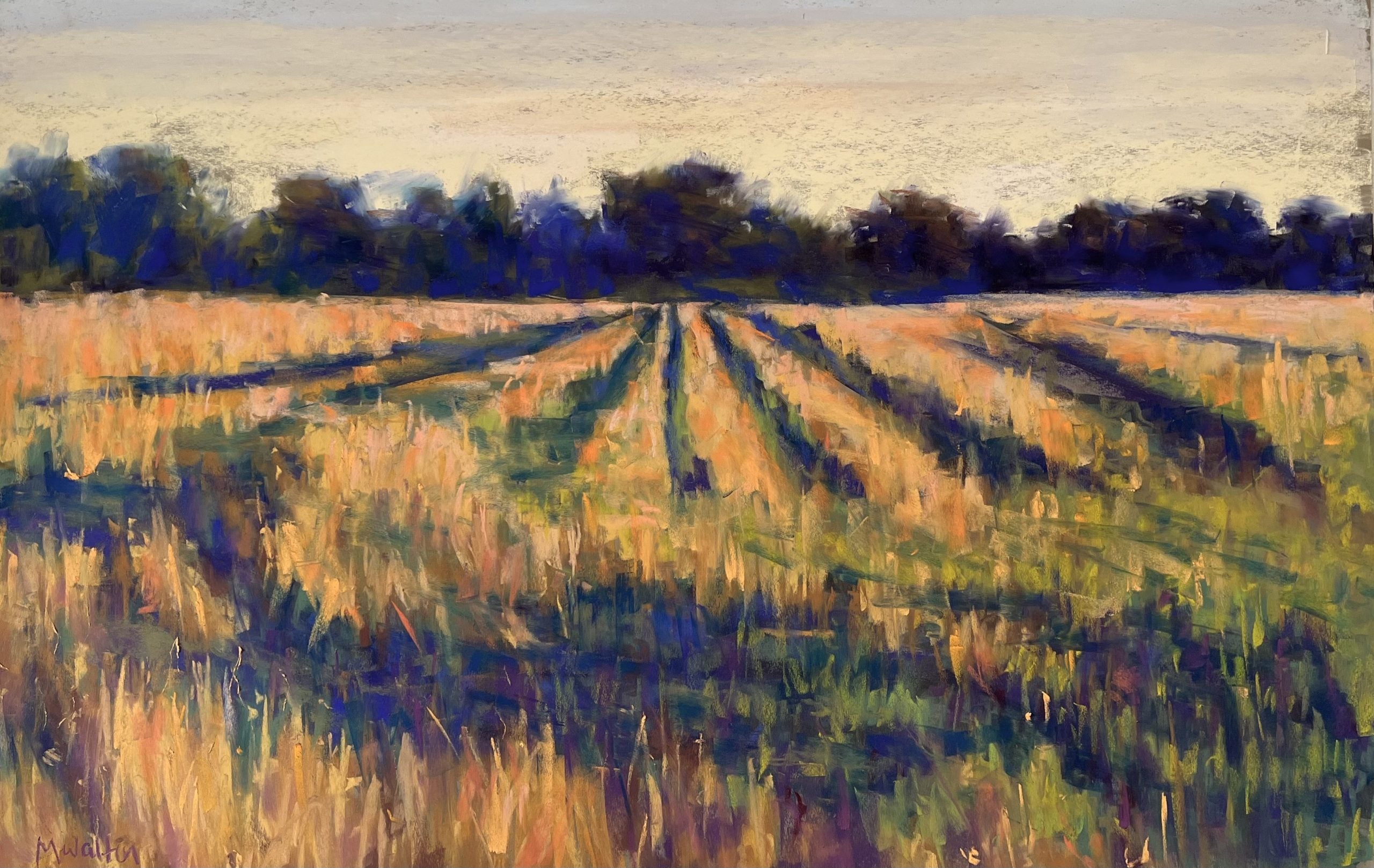 MW237 WHITE STONE FIELD