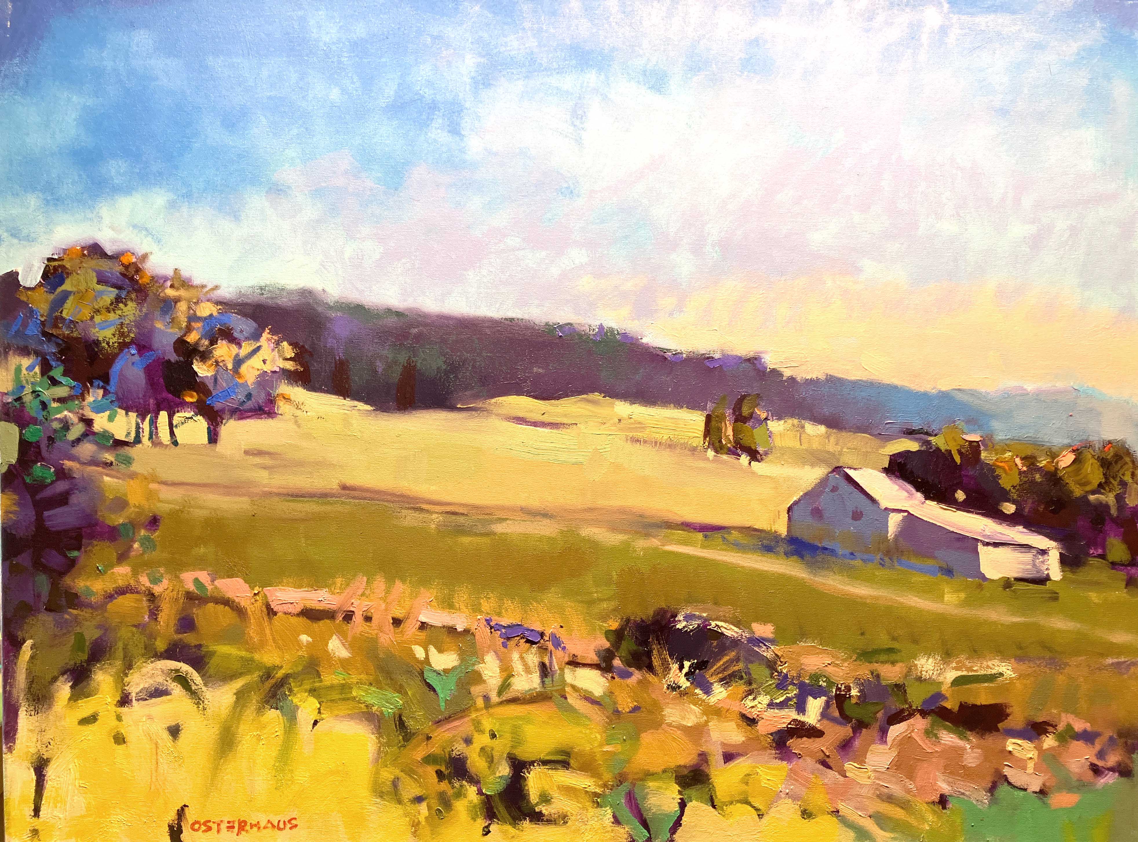 BM1025 THE CURVE OF THE HILL