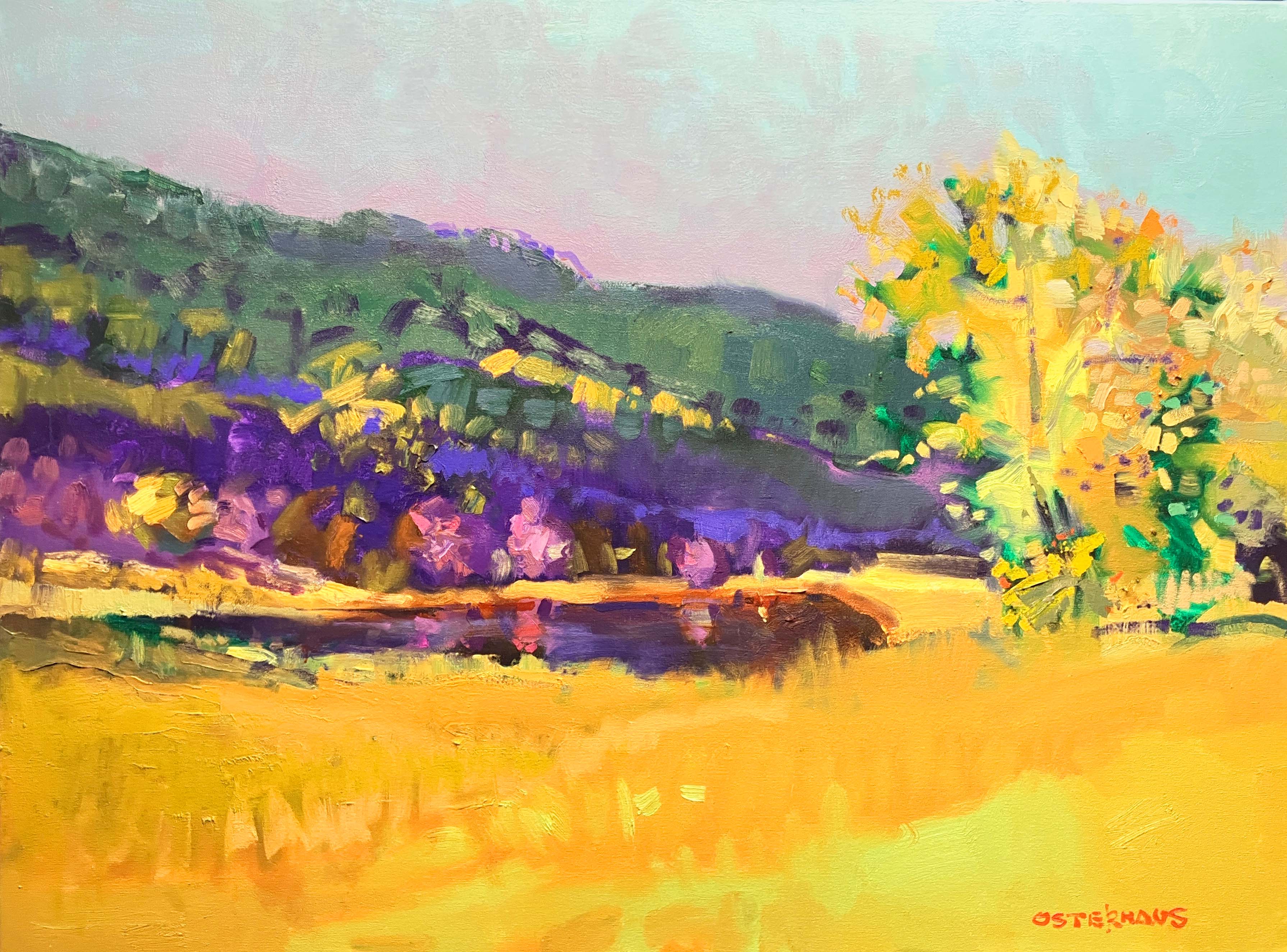 BM1025 ELLETT VALLEY POND