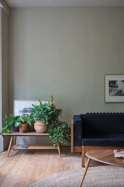 COLOR BY NATURE COLLECTION: ASH GREY NO. W9