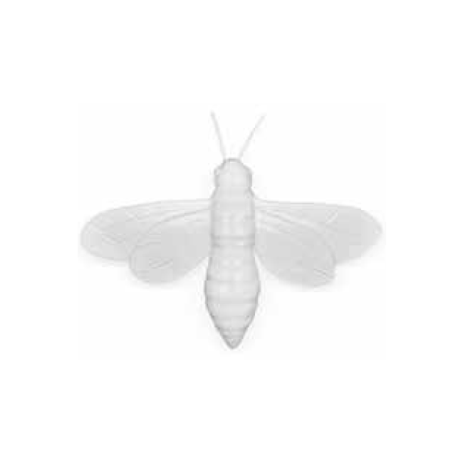 OL Bee