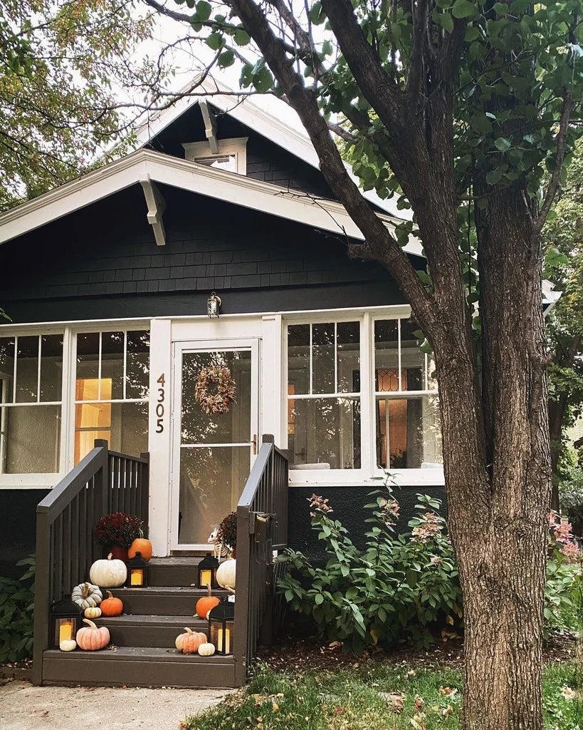 ARCHIVE COLLECTION: BLACK BLUE NO. 95