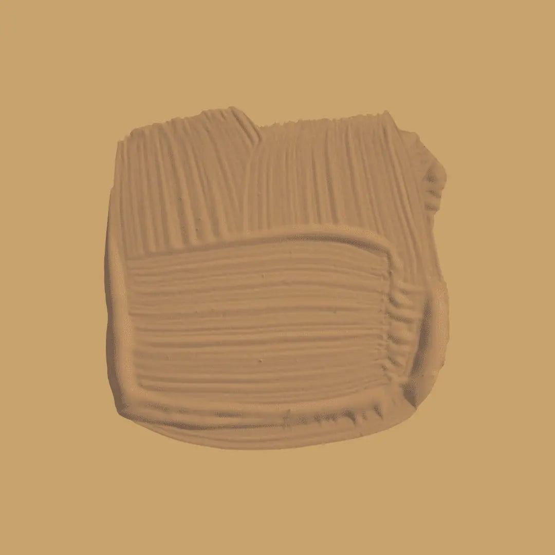 ARCHIVE COLLECTION: CANE NO. 53