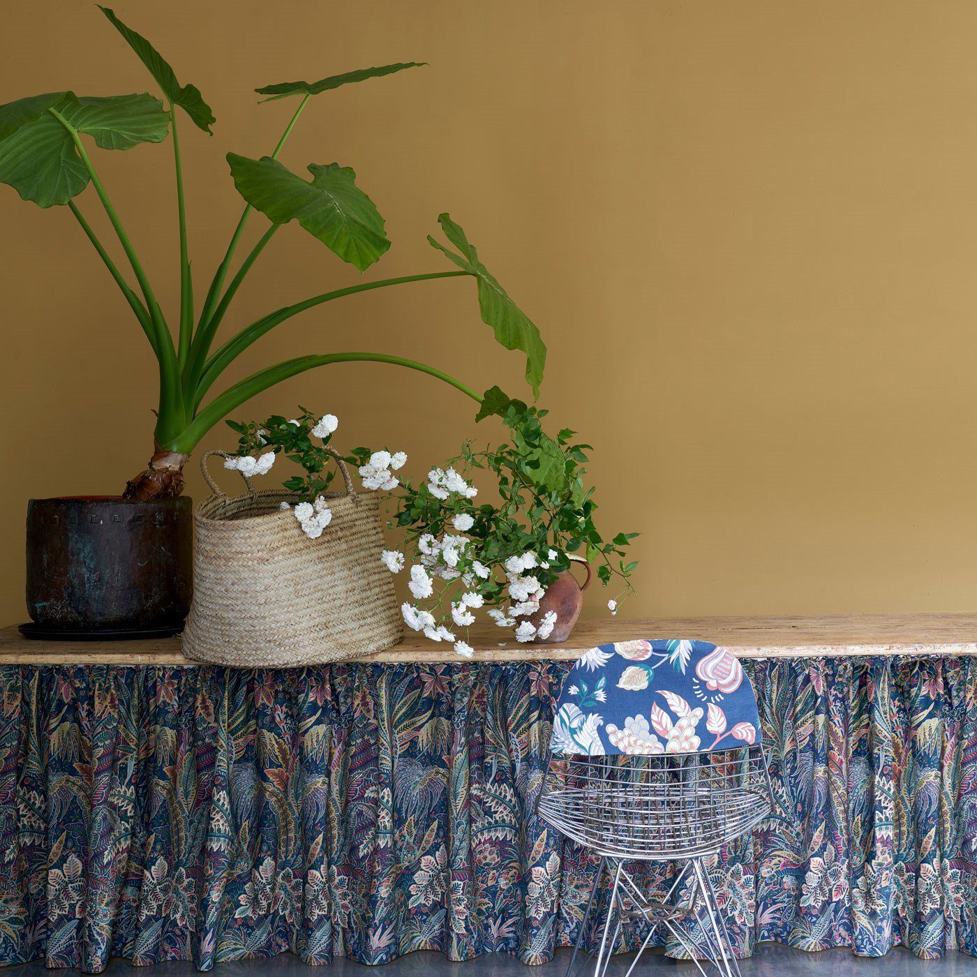 ARCHIVE COLLECTION: CANE NO. 53