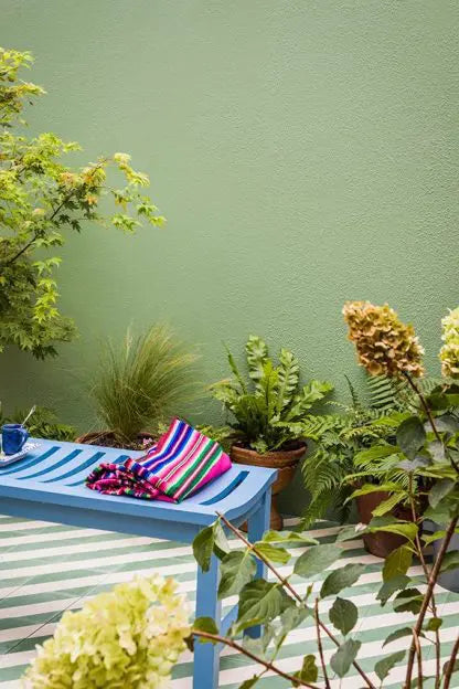 COOK’S BLUE NO. 237