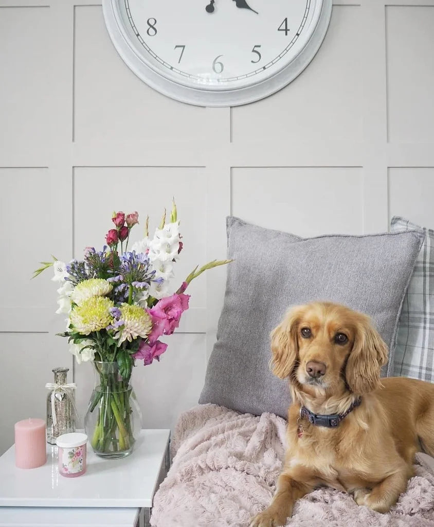 CORNFORTH WHITE NO. 228