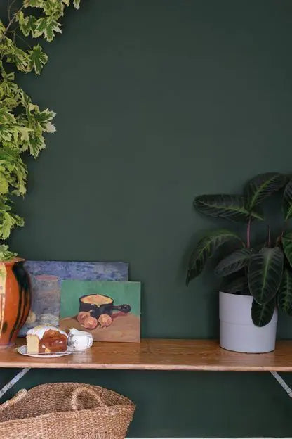 COLOR BY NATURE COLLECTION: DUCK GREEN NO. W55