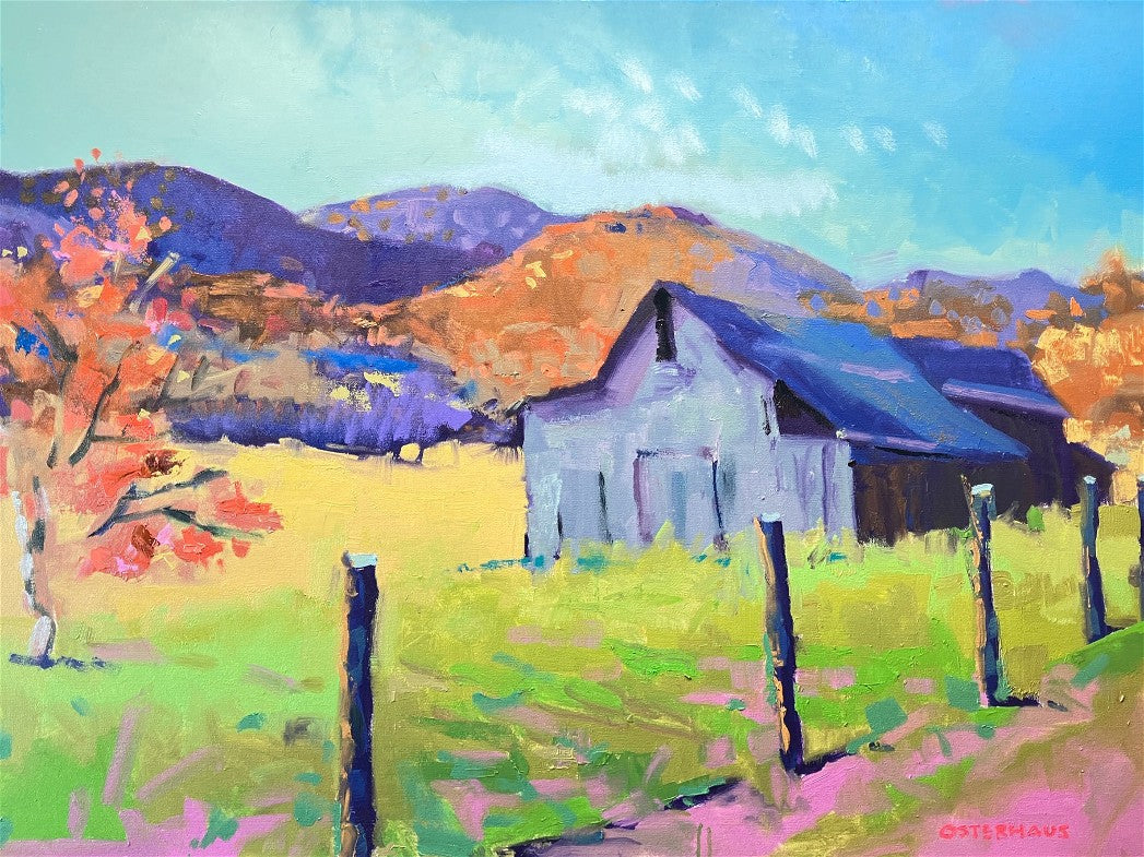 BM1024 GREY BARN IN AUTUMN