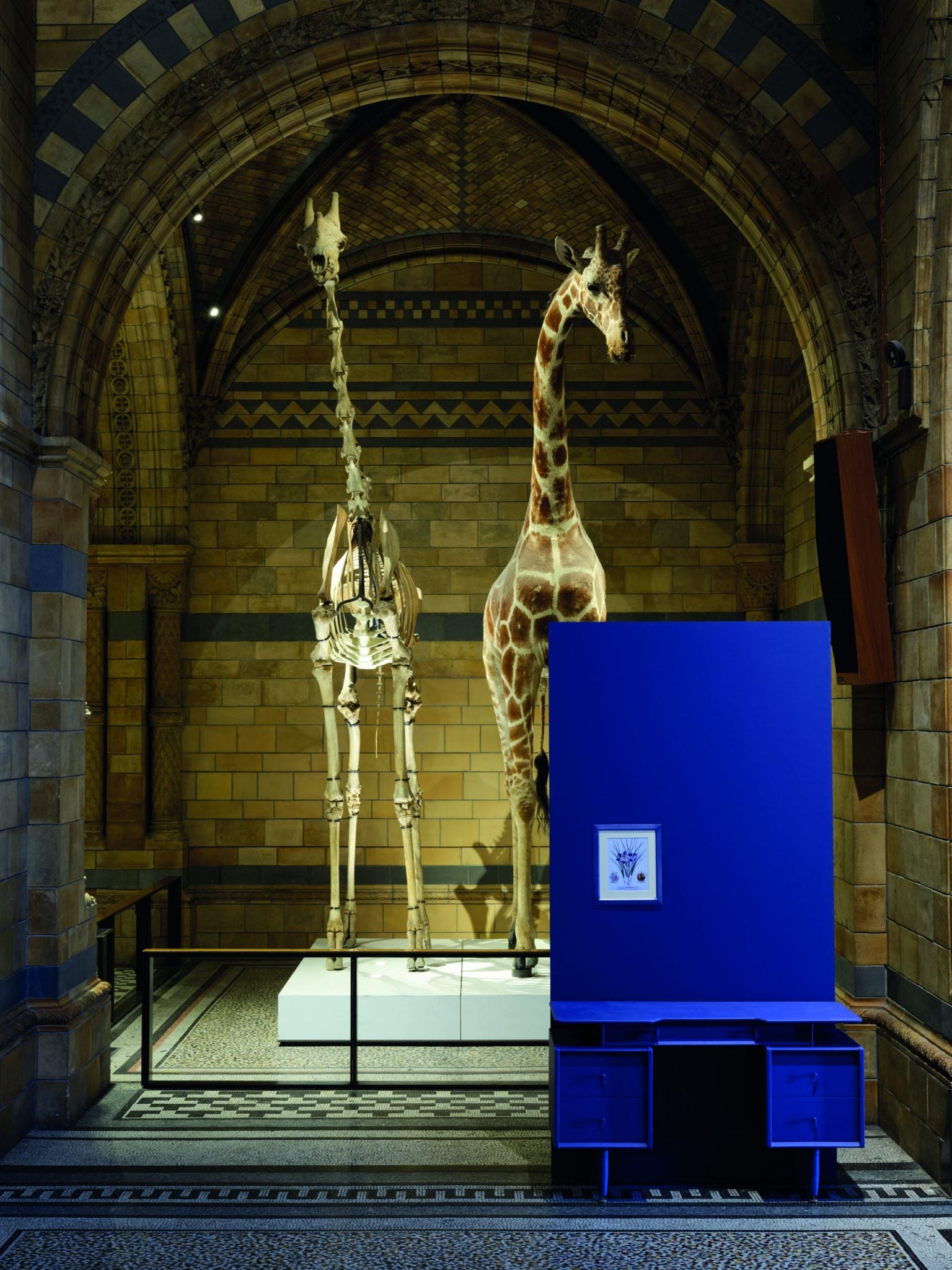 COLOR BY NATURE COLLECTION: IMPERIAL PURPLE NO. W40