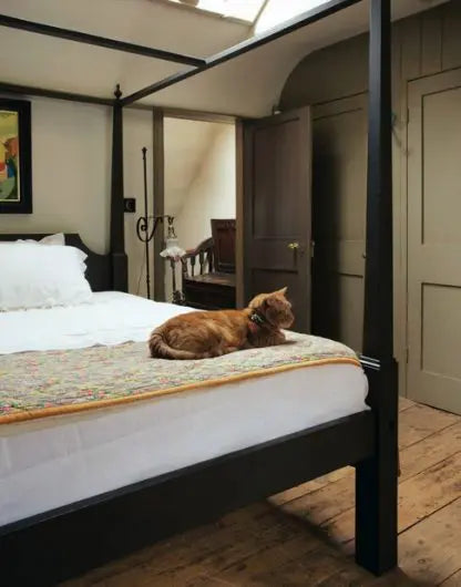 MOUSE’S BACK NO. 40