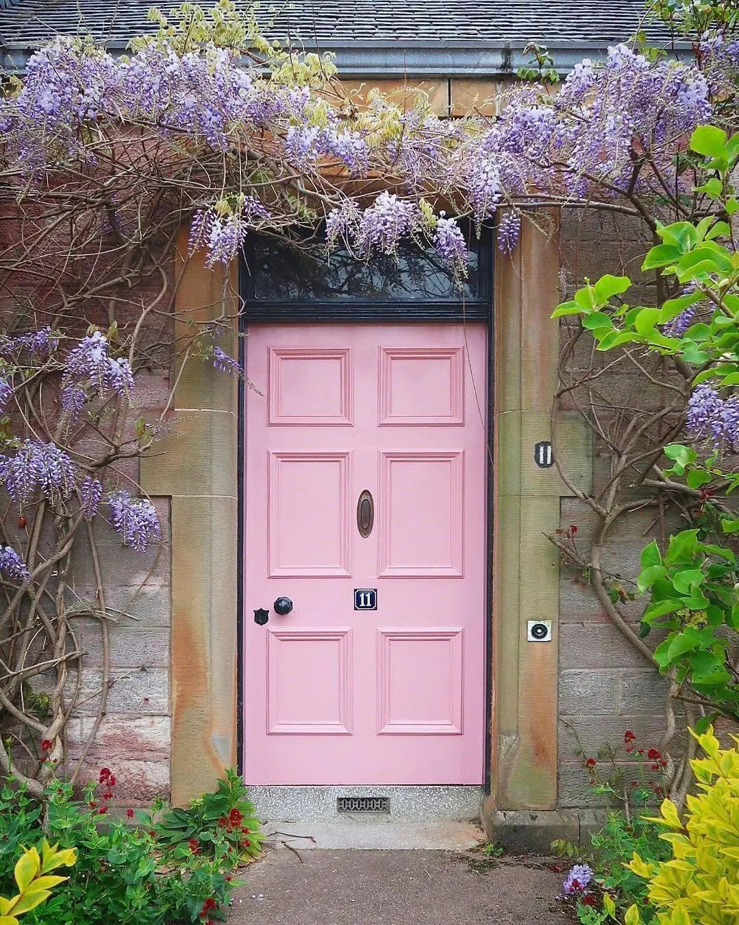 NANCY’S BLUSHES NO. 278