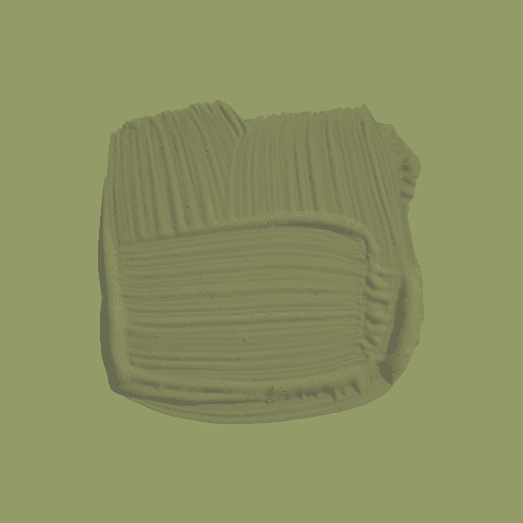 ARCHIVE COLLECTION: OLIVE NO. 13