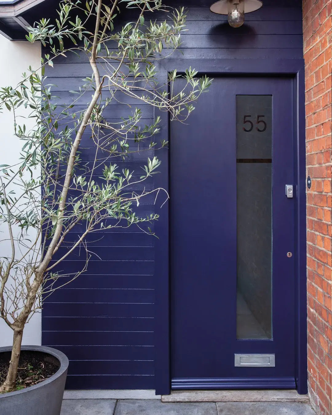 COLOR BY NATURE COLLECTION: SCOTCH BLUE NO. W24