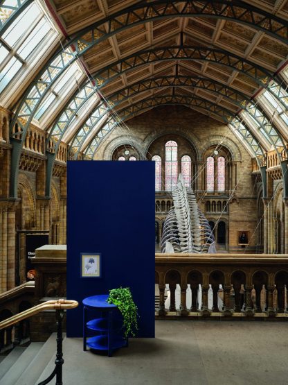 COLOR BY NATURE COLLECTION: SCOTCH BLUE NO. W24