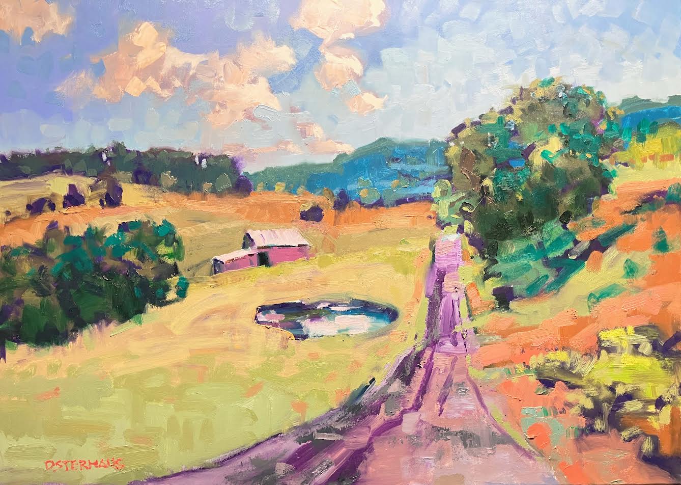 BM326 SEEING IS BELIEVING