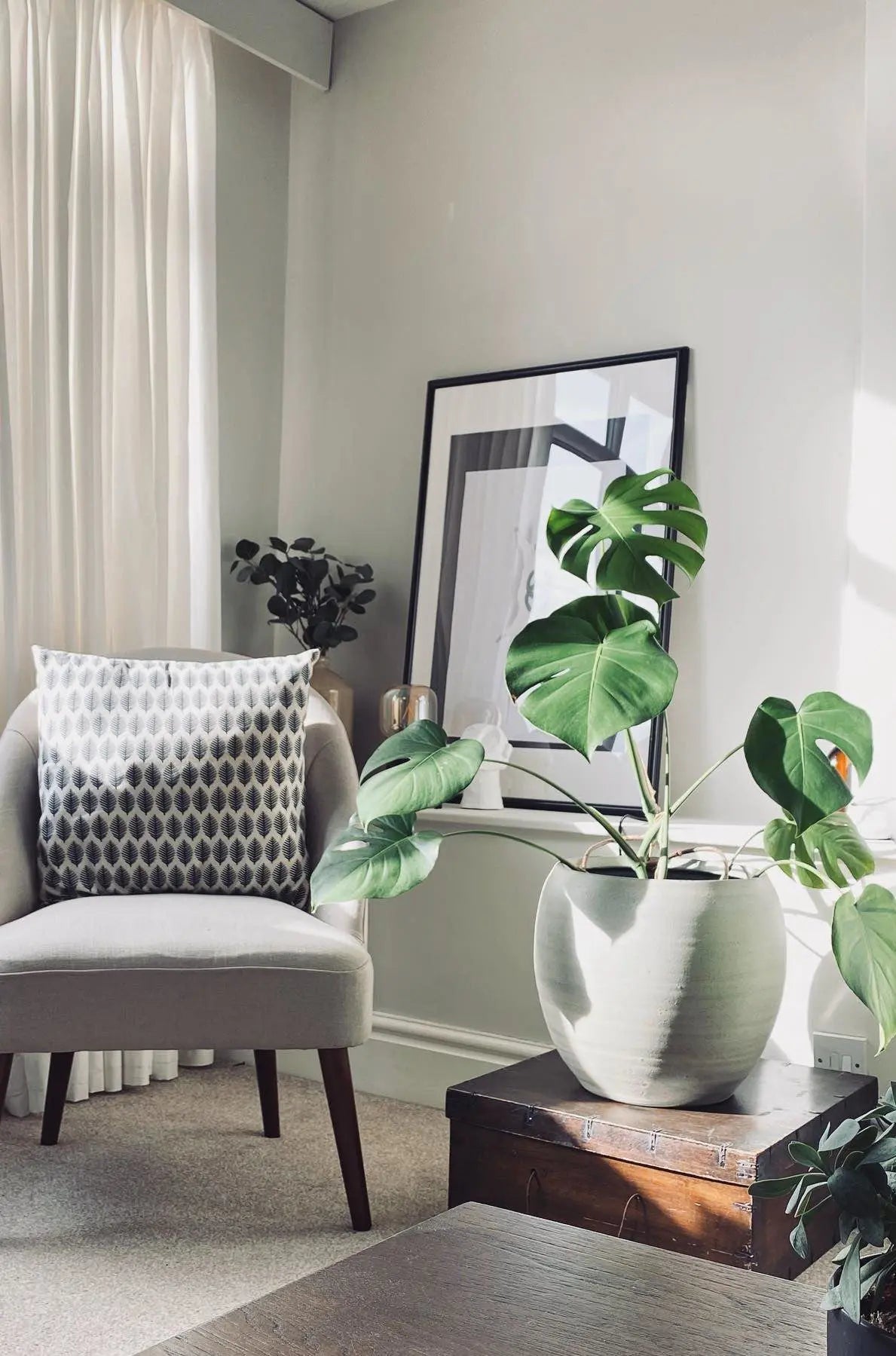 SHADOW WHITE NO. 282