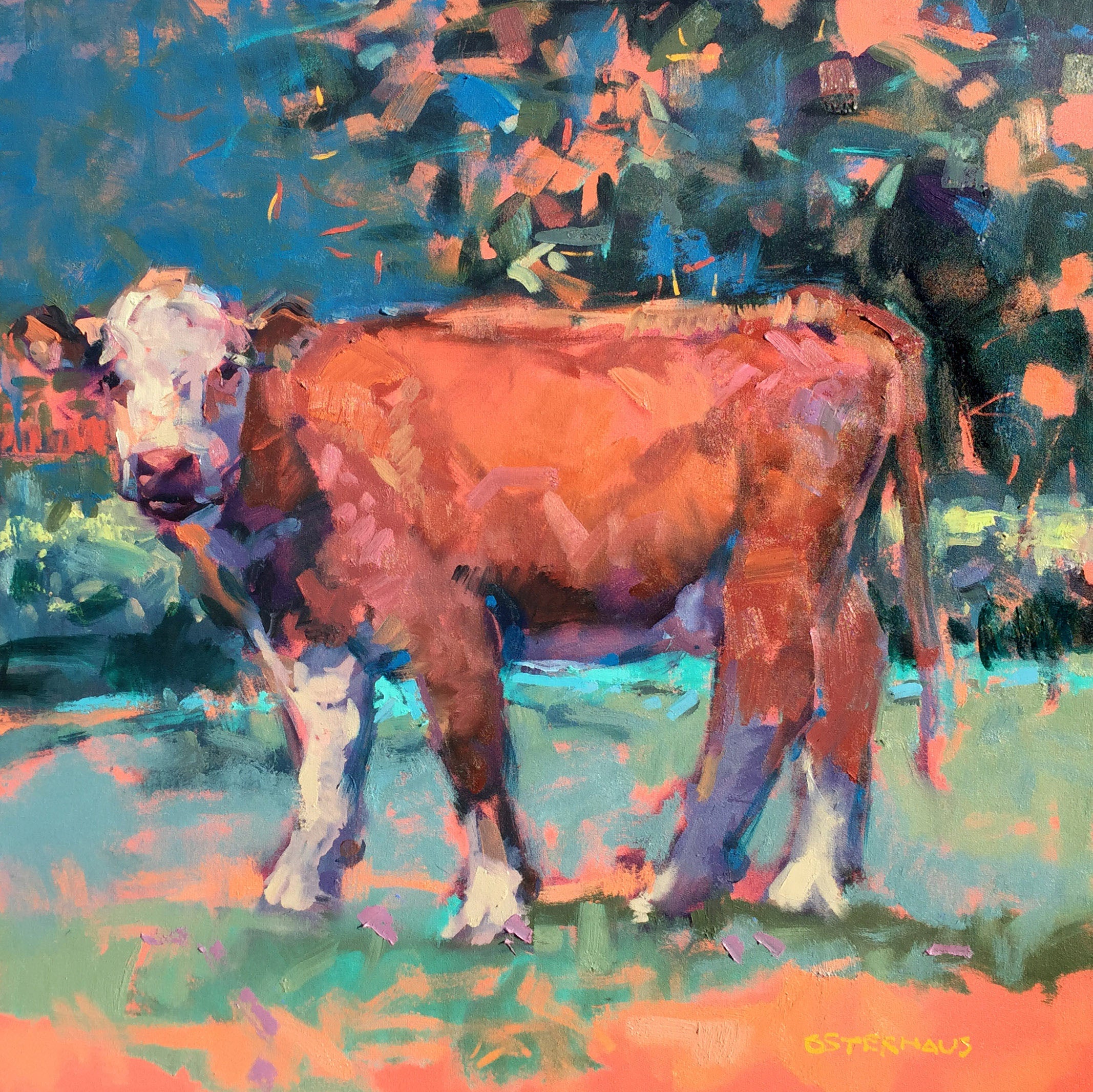 BM326 SIENNA BROADSIDE