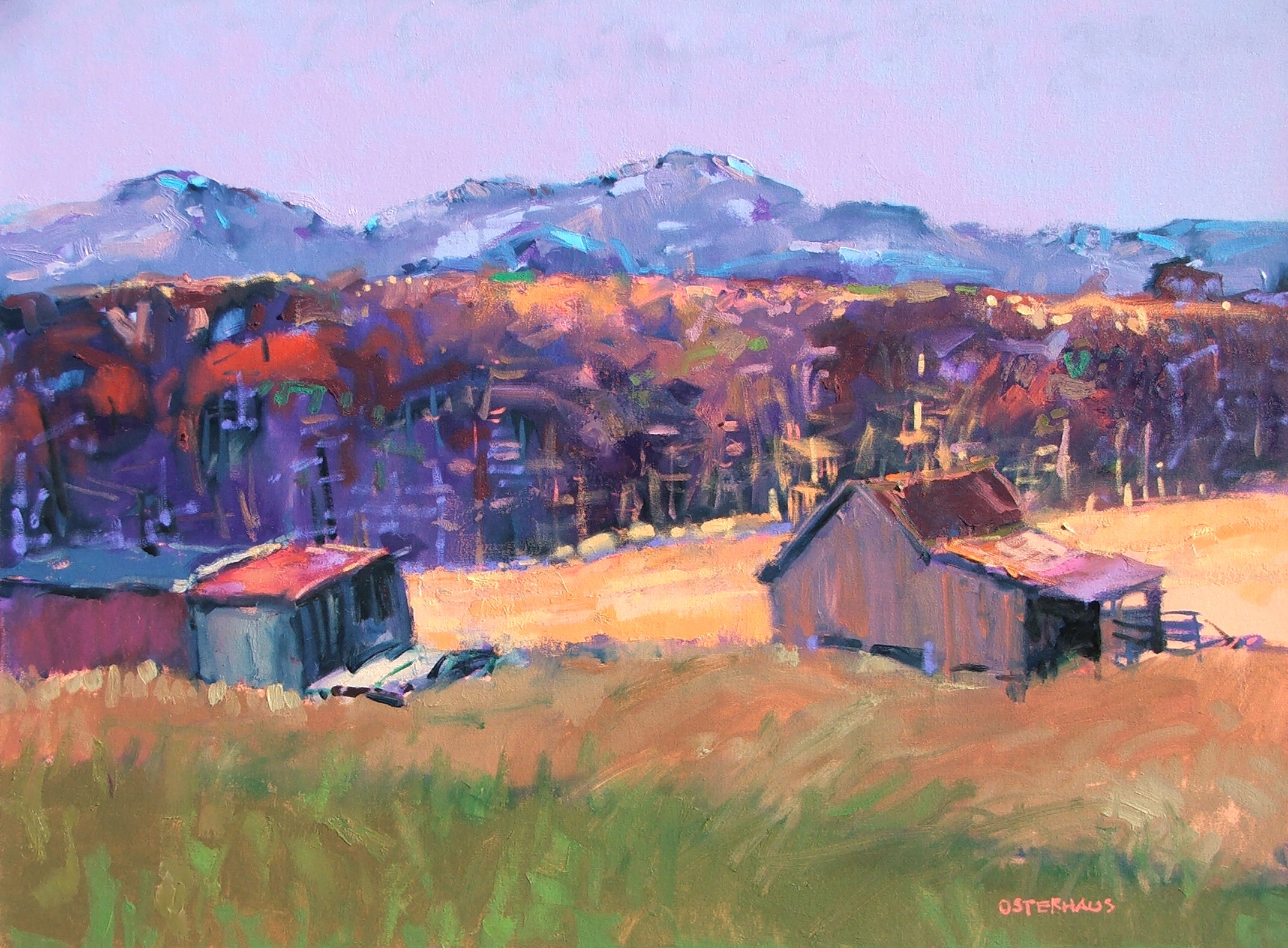 BM326 TANGERINE FIELD