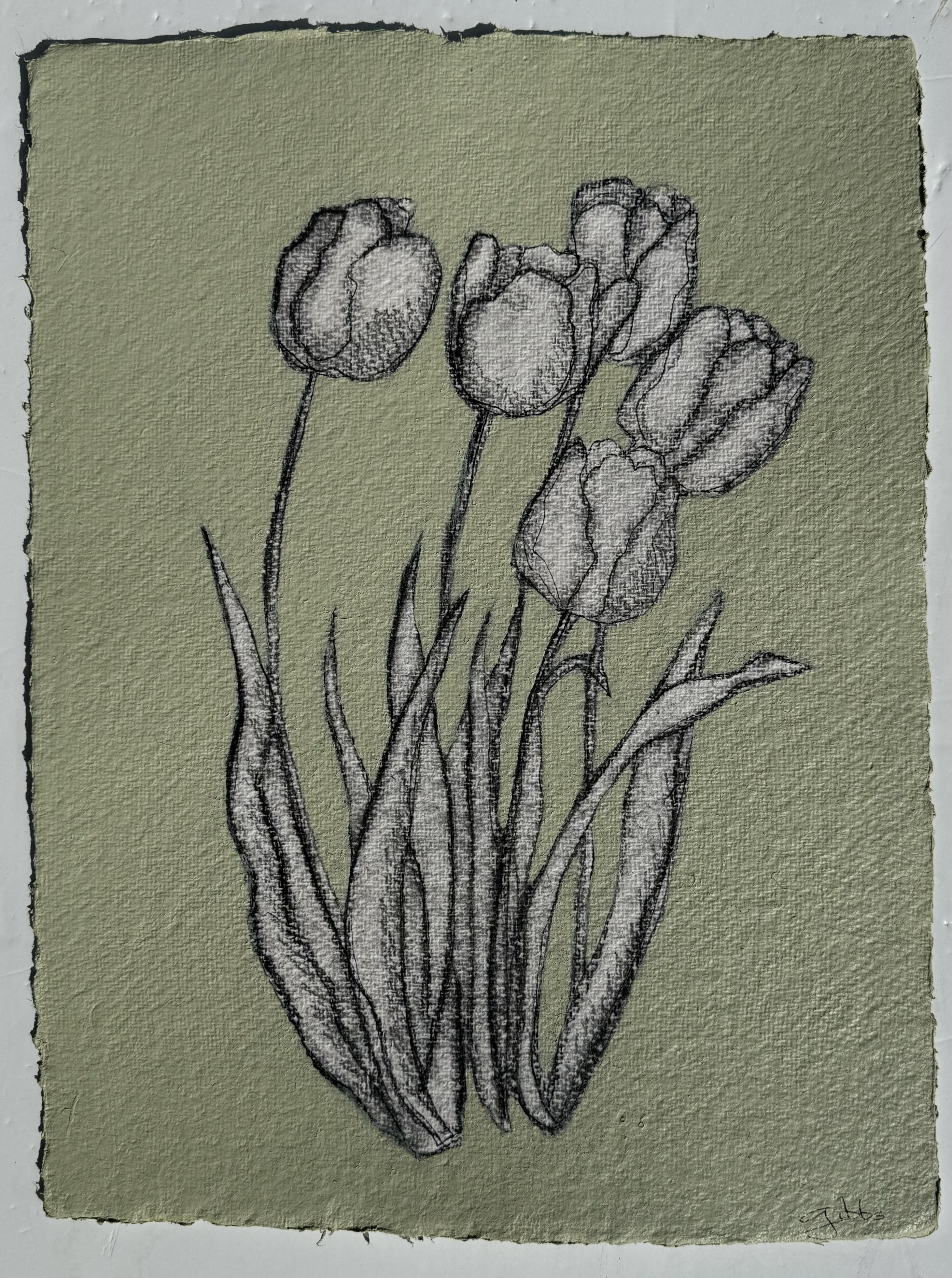 JG24 COOKING APPLE GREEN TULIPS