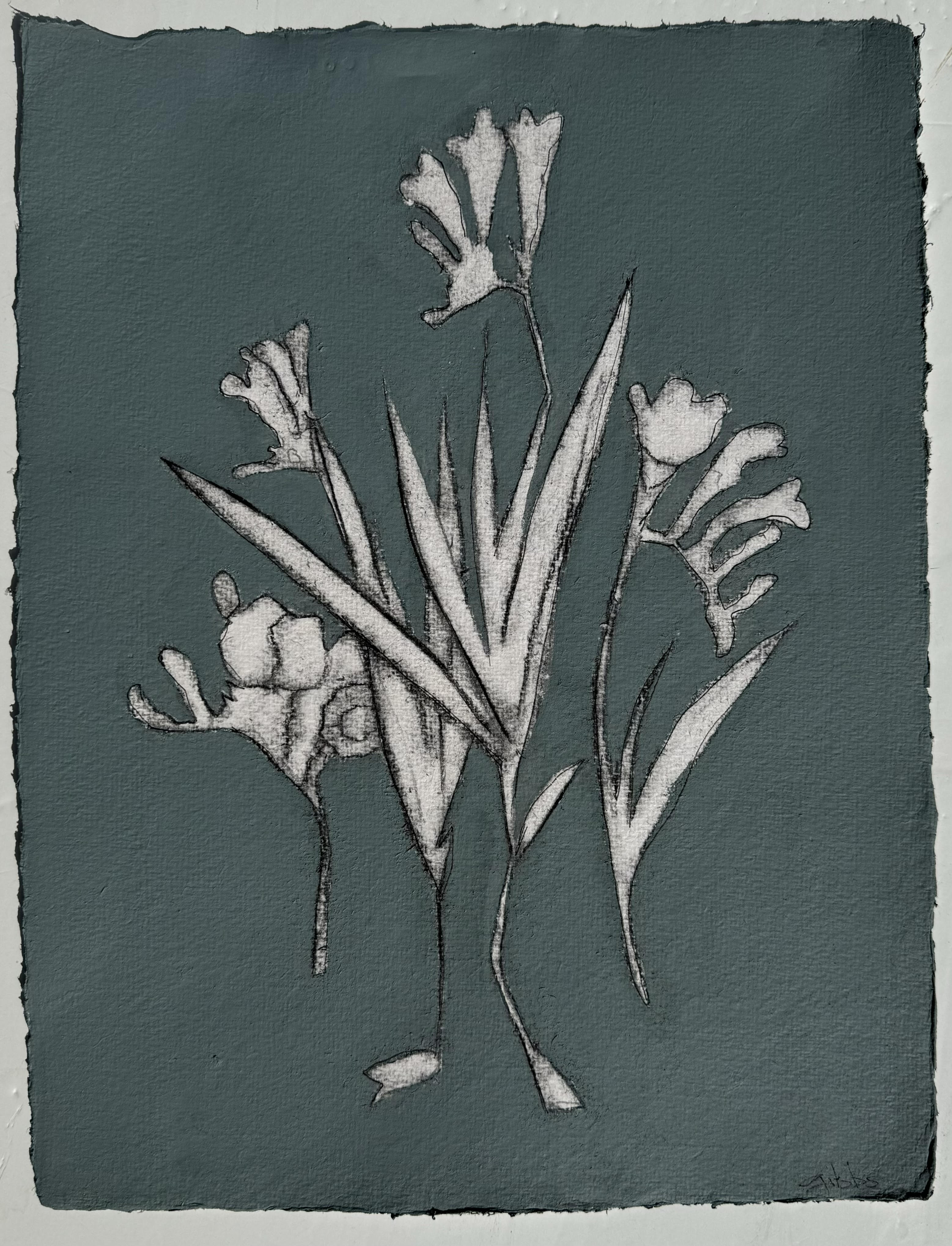 JG24 DENIMES FREESIA