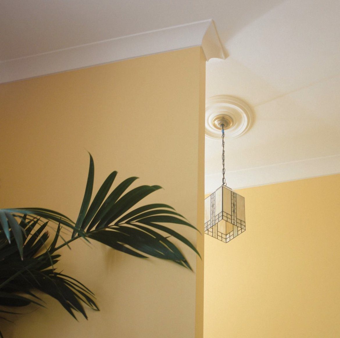 YELLOW GROUND NO. 218